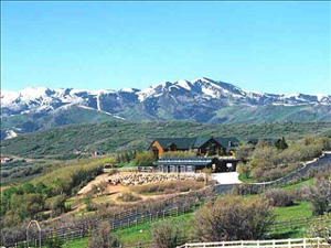 Park City Homes